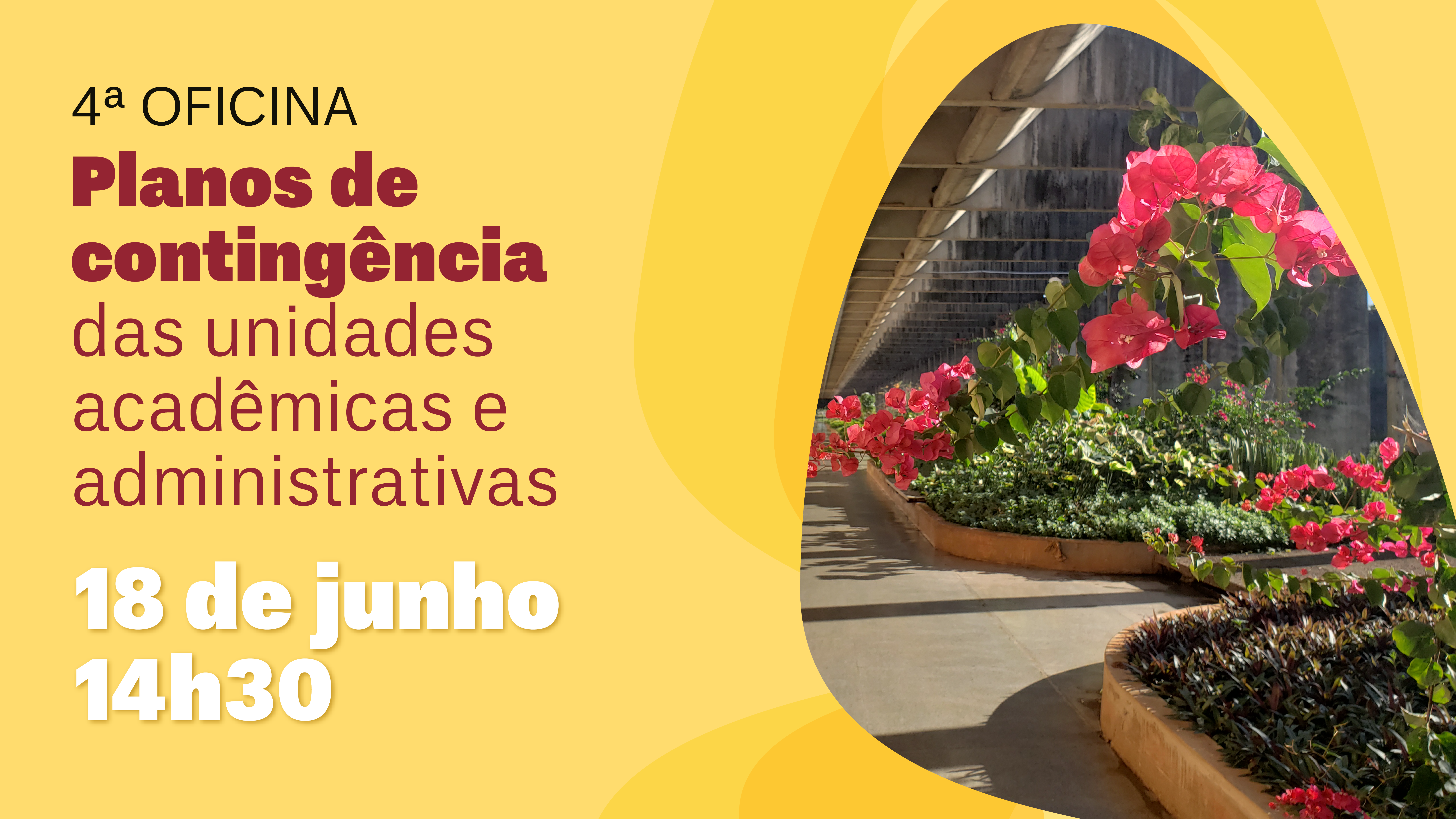 4ª Oficina: Planos de contingência de unidades acadêmicas e administrativas