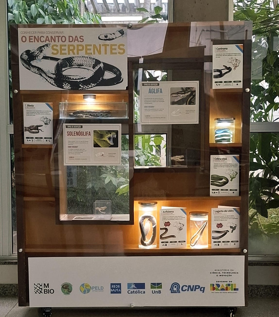 Exposição | Conhecer para Conservar: O Encanto das Serpentes