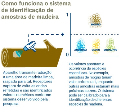 LPF - Laboratório de Produtos Florestais - Banco de Dados Madeiras  Brasileiras
