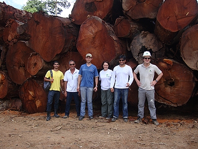 LPF - Laboratório de Produtos Florestais - Banco de Dados Madeiras  Brasileiras