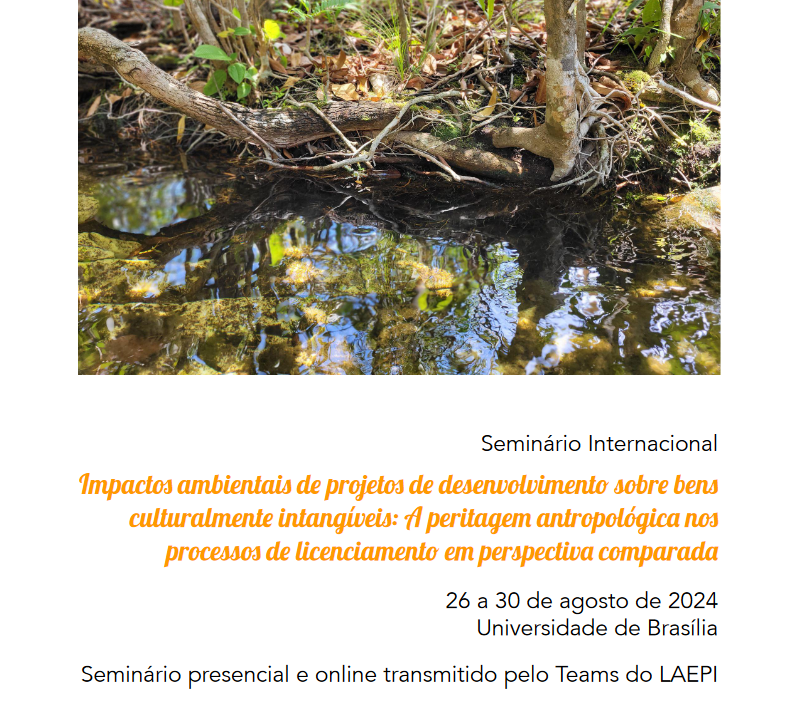 Seminário Internacional LAEPI