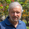 José Alberto Vivas Veloso